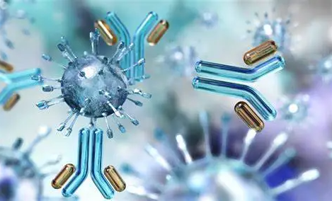 EbioCell antibody panels are a convenient and economical option for researchers. Each panel contains carefully selected high-quality and highly cited antibodies in small amounts (30l) directed against related targets involving signaling pathways, protein modifications, or specific cell markers. In addition, a secondary antibody is included to facilitate western blot analyses.