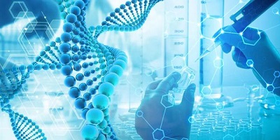 EbioCell offers a broad range of Cell Culture Reagents. Cell Culture Reagents include a multitude of compounds, from solvents and nutrients to growth promoters and apoptosis inducers.